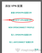 【自建撥號】IP代理SSTP連接設(shè)置教程